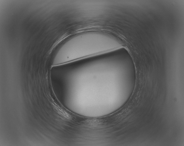 X0000054421450200507290913