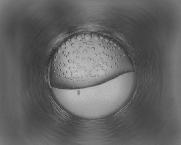 X0000054421451200507290913