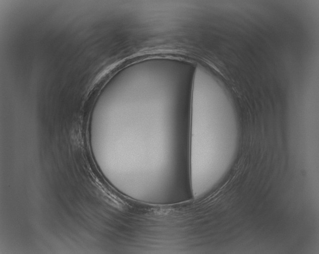 X0000054421452200507290913