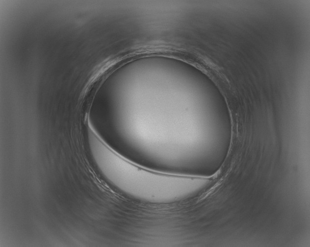 X0000054421453200507290913