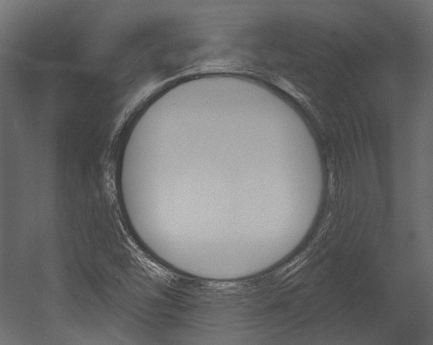 X0000054421454200507290913