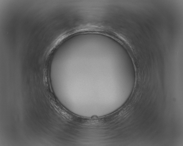 X0000054421455200507290913