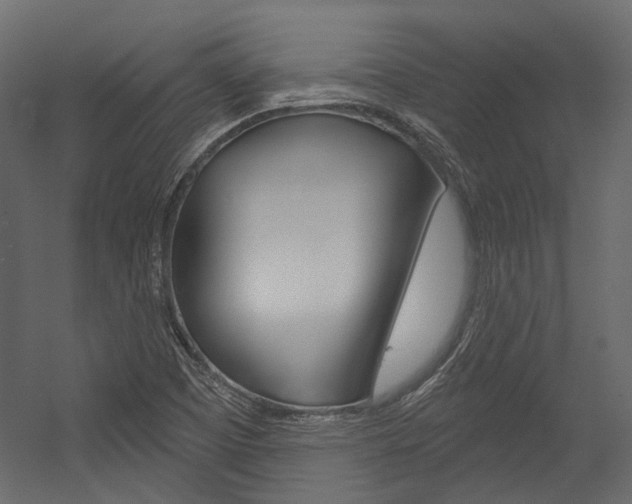 X0000054421457200507290913