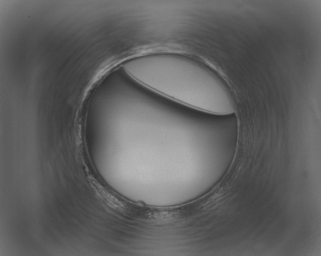 X0000054421459200507290913