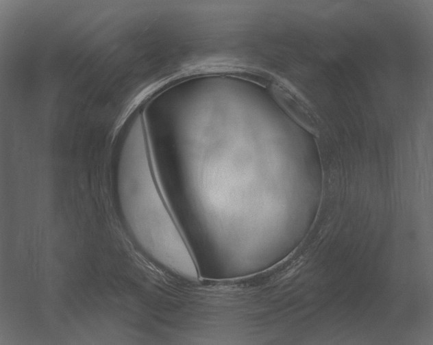 X0000054421461200507290913