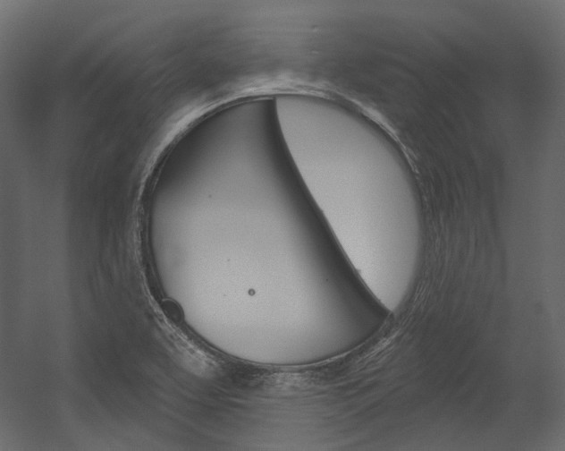 X0000054421463200507290913