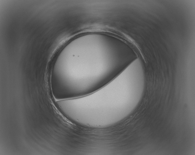 X0000054421464200507290913