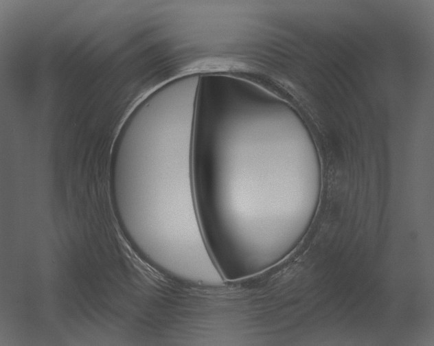 X0000054421465200507290913