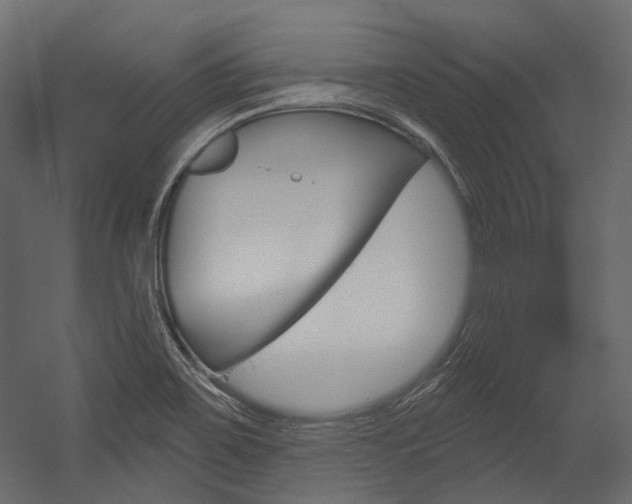 X0000054421467200507290913