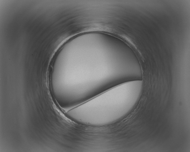 X0000054421468200507290913