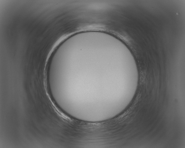 X0000054421470200507290913
