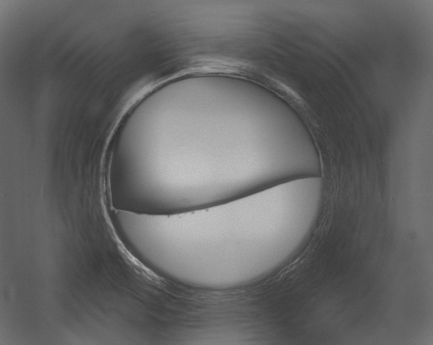 X0000054421471200507290913