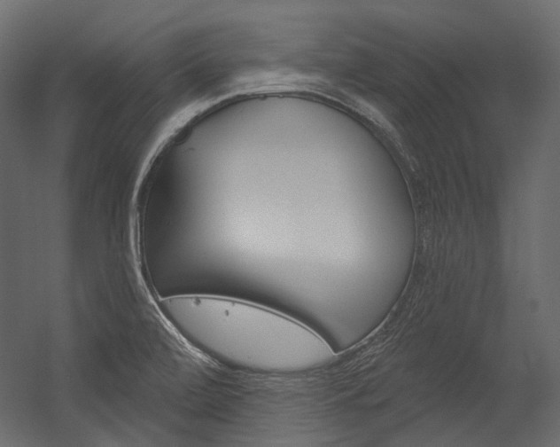X0000054421472200507290913