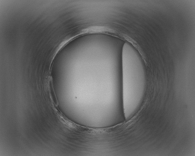 X0000054421473200507290913