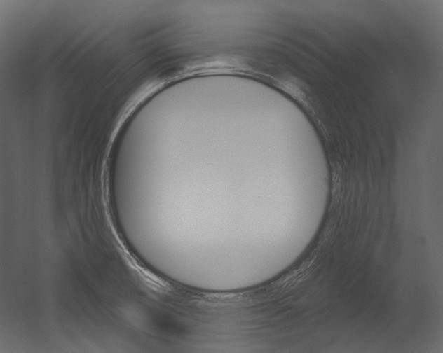 X0000054421474200507290913