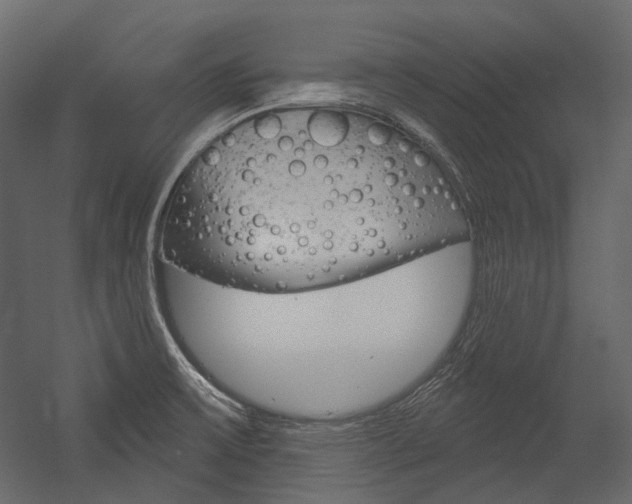 X0000054421475200507290913