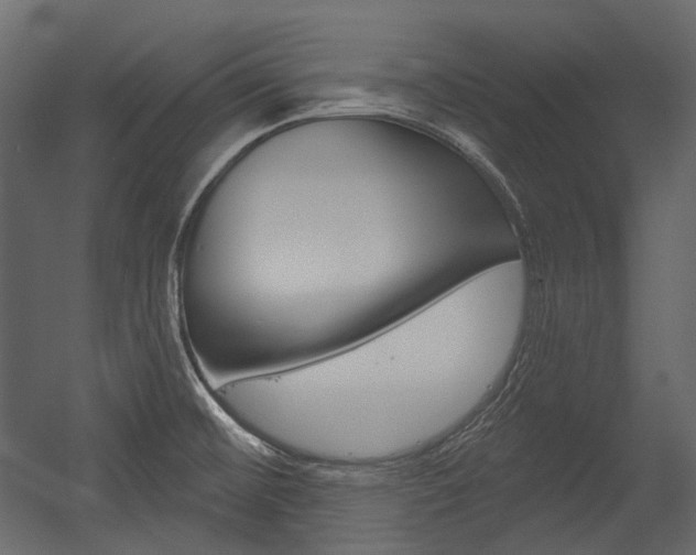 X0000054421476200507290913