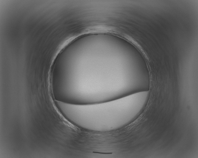 X0000054421477200507290913