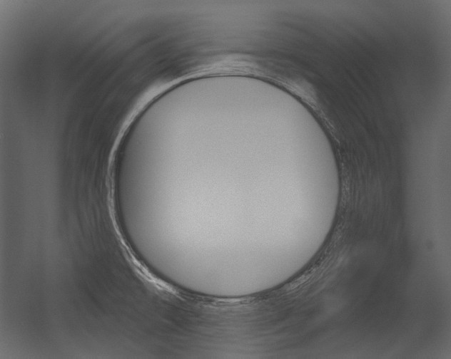 X0000054421478200507290913