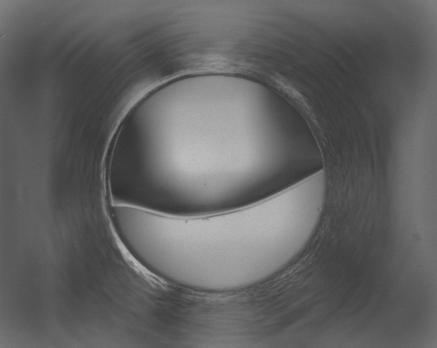 X0000054421479200507290913