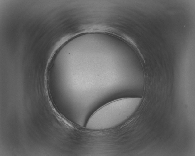 X0000054421480200507290913