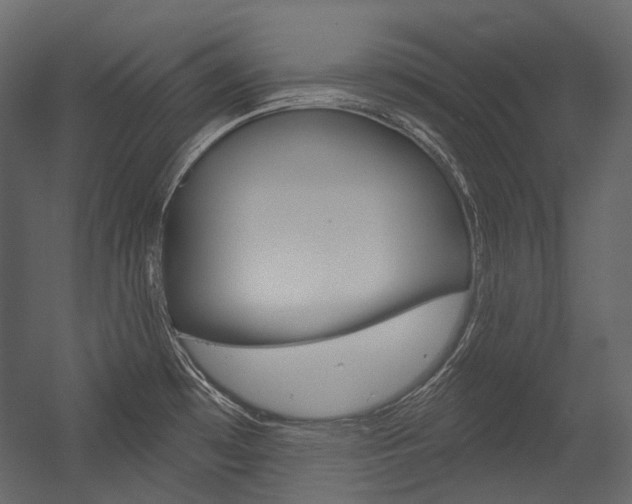 X0000054421481200507290913