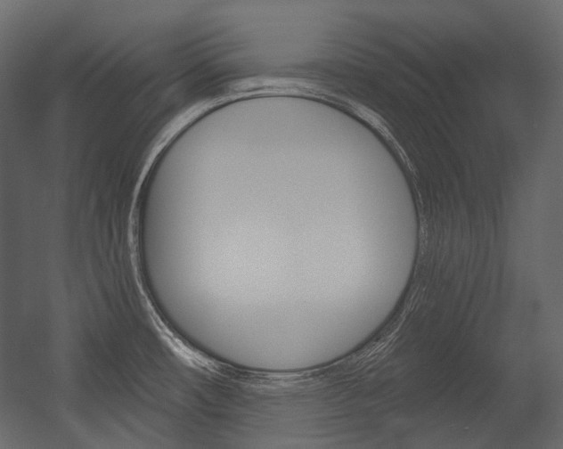 X0000054421482200507290913