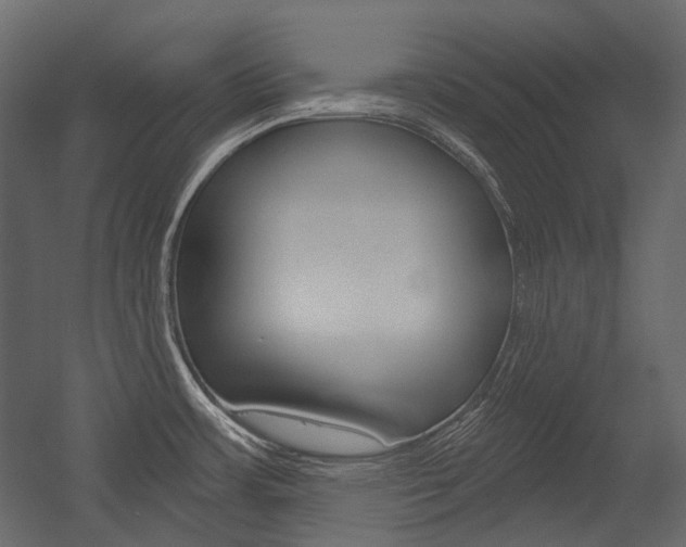 X0000054421483200507290913