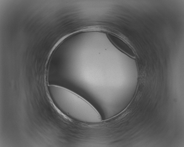 X0000054421484200507290913