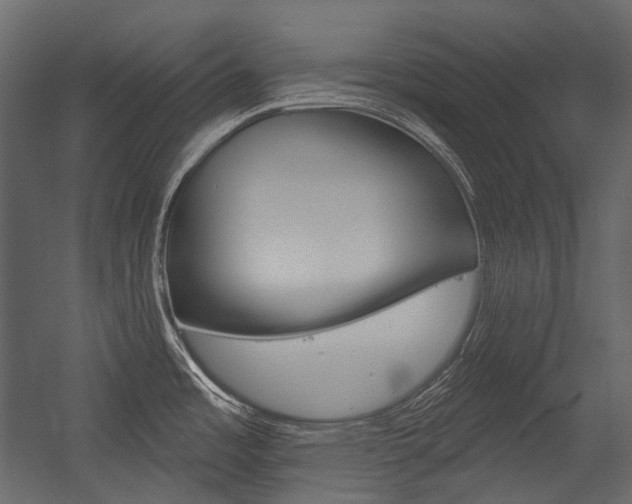 X0000054421485200507290913