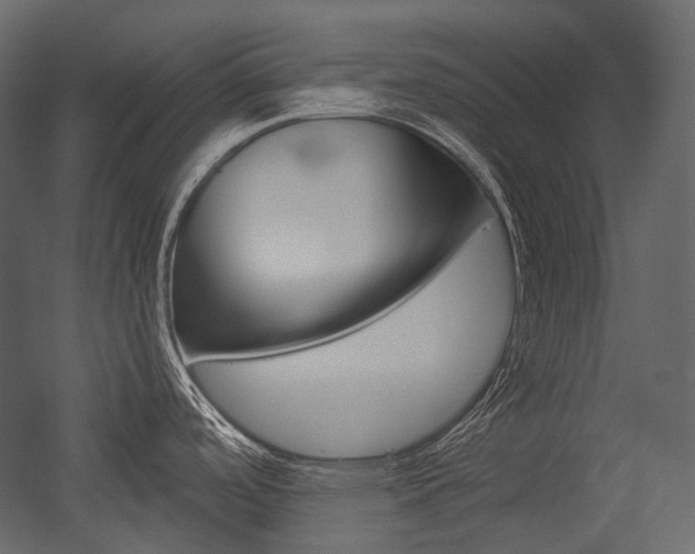 X0000054421488200507290913