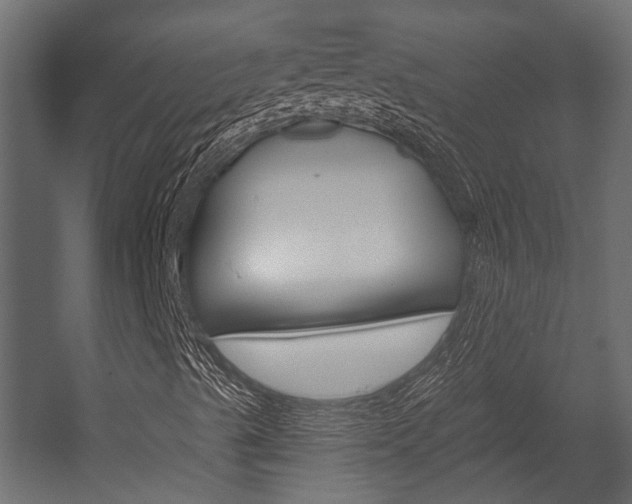 X0000054421489200507290912