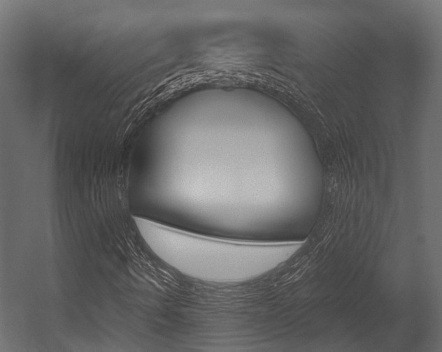 X0000054421490200507290912