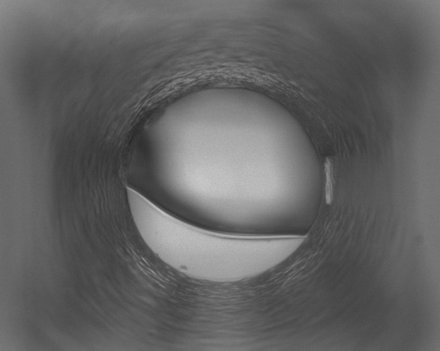 X0000054421491200507290912