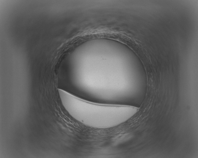 X0000054421493200507290912