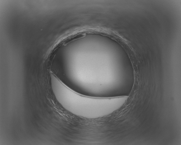 X0000054421496200507290912