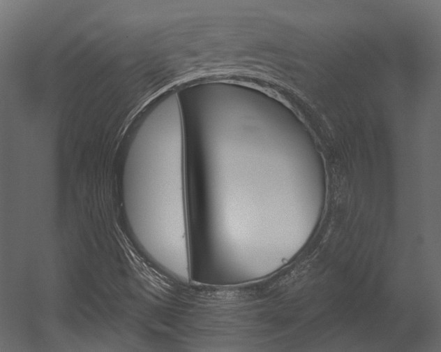X0000054421497200507290912