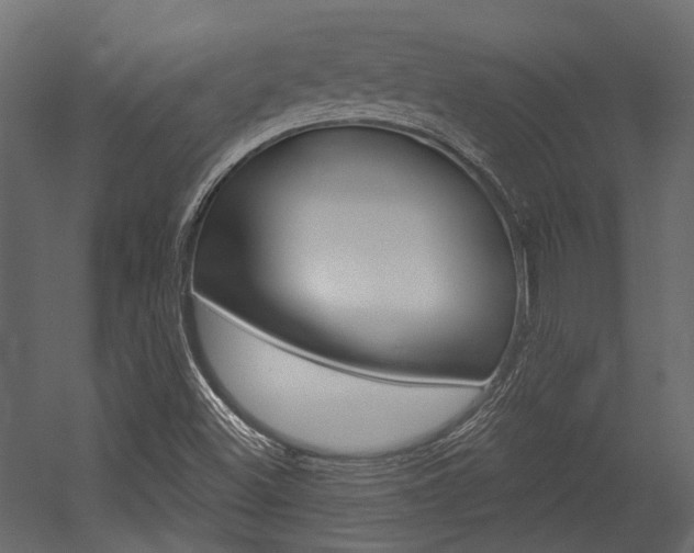 X0000054421500200507290912
