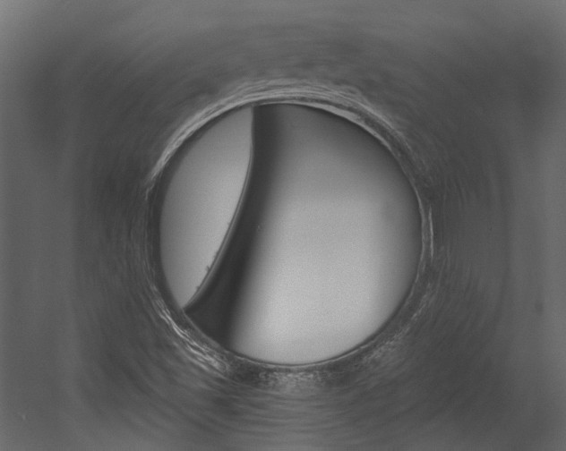 X0000054421501200507290912