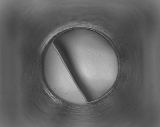 X0000054421503200507290912