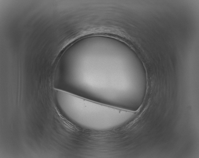 X0000054421505200507290912