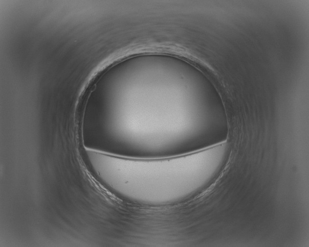 X0000054421506200507290912