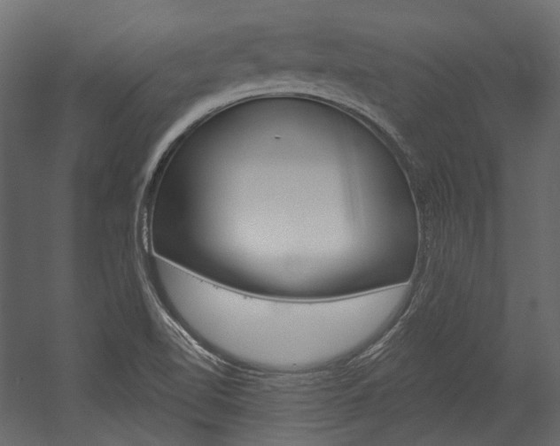 X0000054421510200507290912