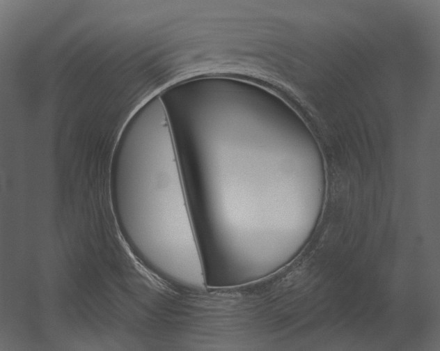 X0000054421513200507290912