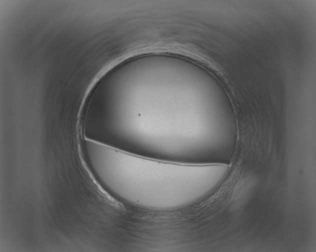 X0000054421517200507290912