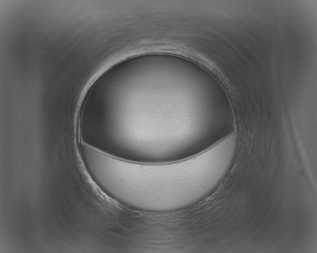 X0000054421520200507290912