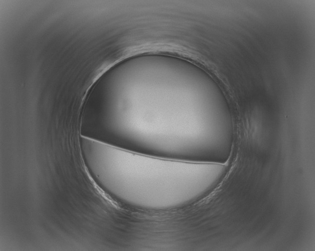 X0000054421521200507290912
