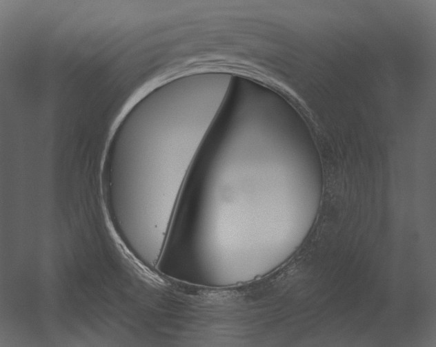 X0000054421522200507290912