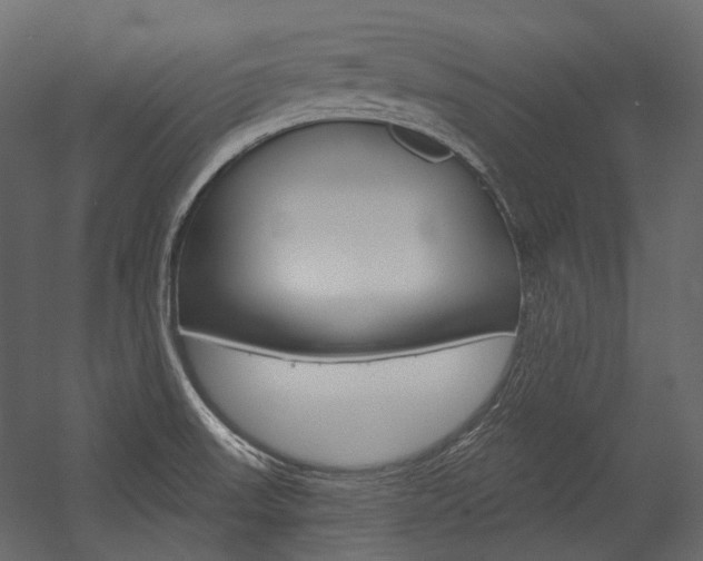 X0000054421523200507290912
