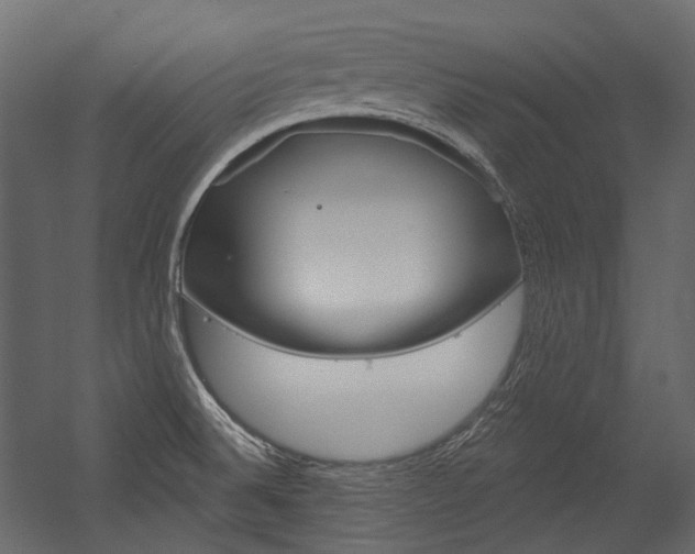 X0000054421524200507290912